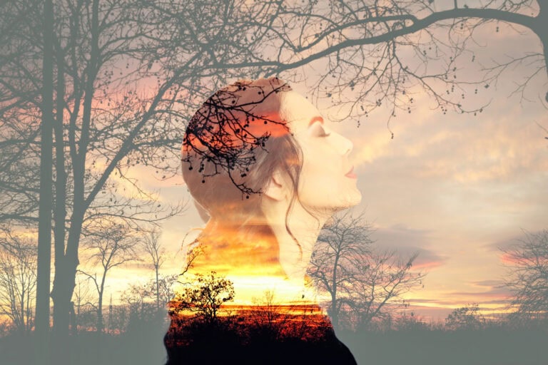 Hormones and Libido: Understanding the Impact of Menopausal Changes on Sexual Desire